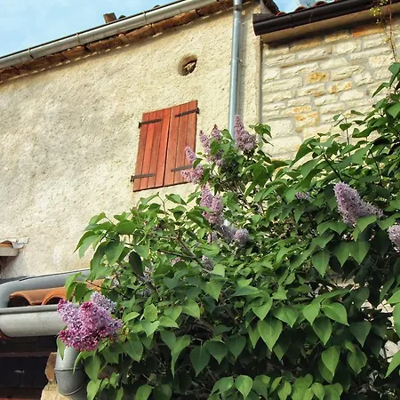 Holiday Victoria Apartment *